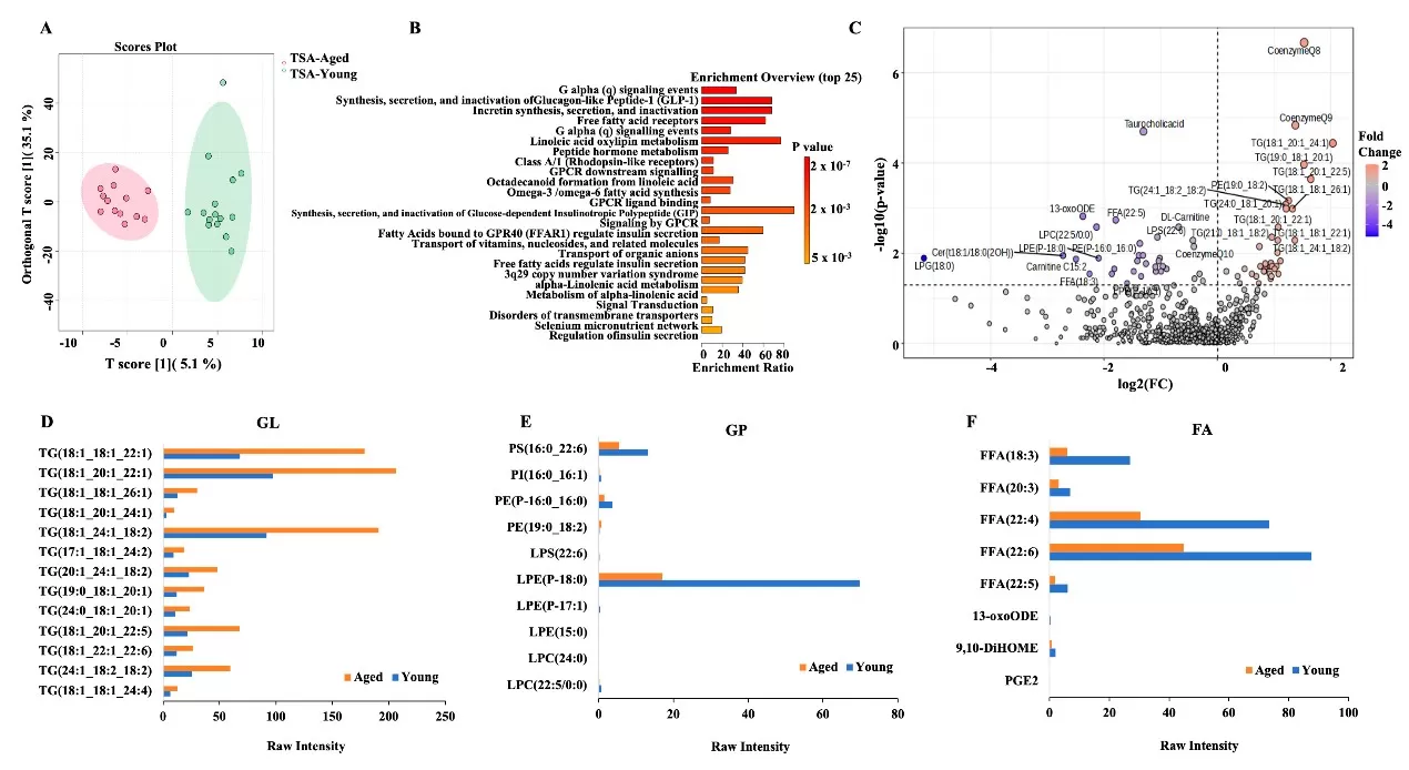 Differential expression of metabolites in TSA-A&Y adipose.